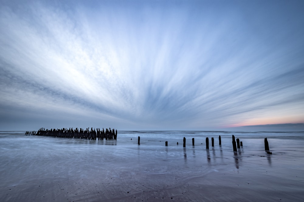 silhouette of people on sea shore during daytime