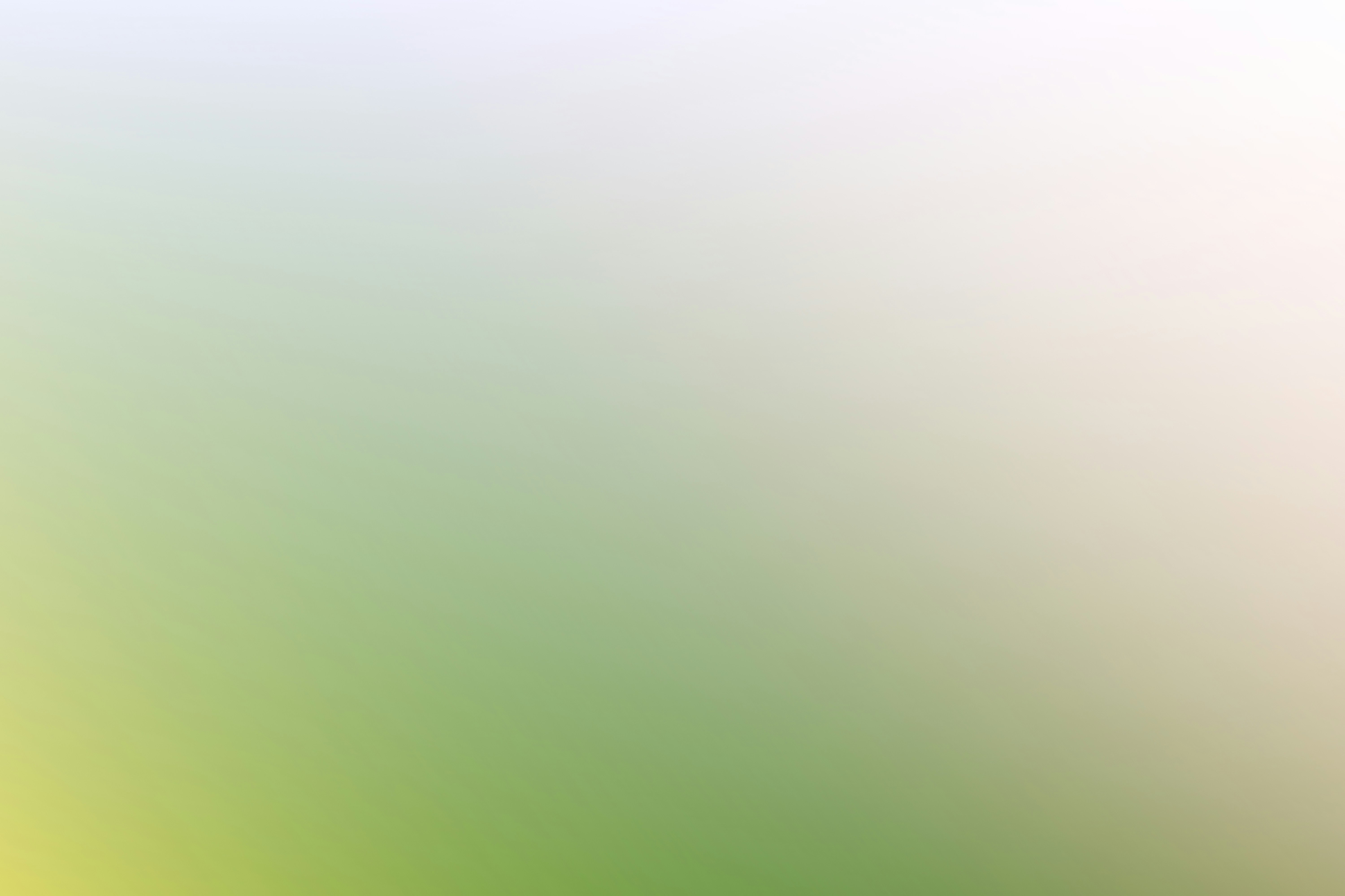 USCIS Raising EAD Fees in 2026: What Asylum Seekers Must Know