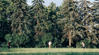 Three people are playing frisbee on a grassy field surrounded by large trees. The scene captures an outdoor, recreational activity in a natural setting with sunlight filtering through the greenery.