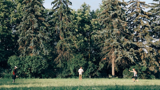 People laughing and playing frisbee in a sunny park surrounded by trees.