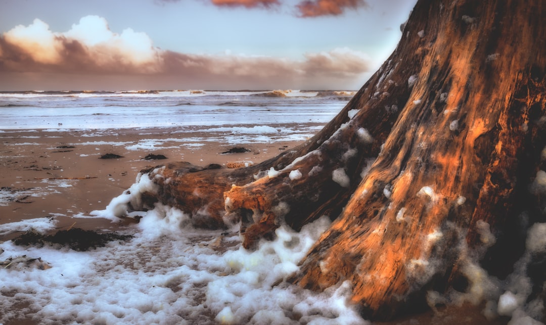 brown rock formation on sea under white clouds during daytime