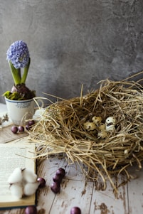 A warm, sunlit photo of a rustic homestead yard featuring quail eggs in a basket and a curious rabbit nearby.
