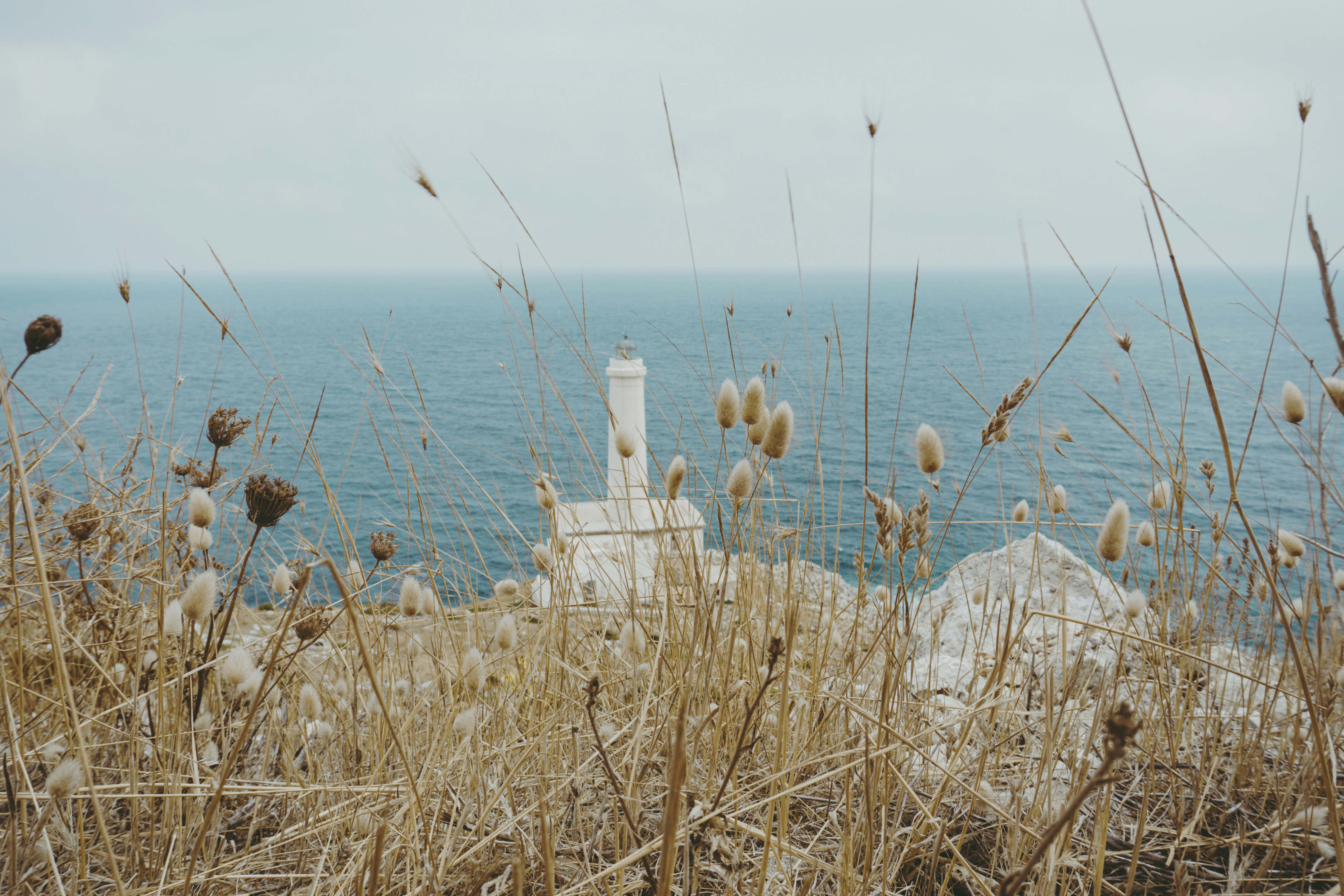 Photo by i_am_simoesse