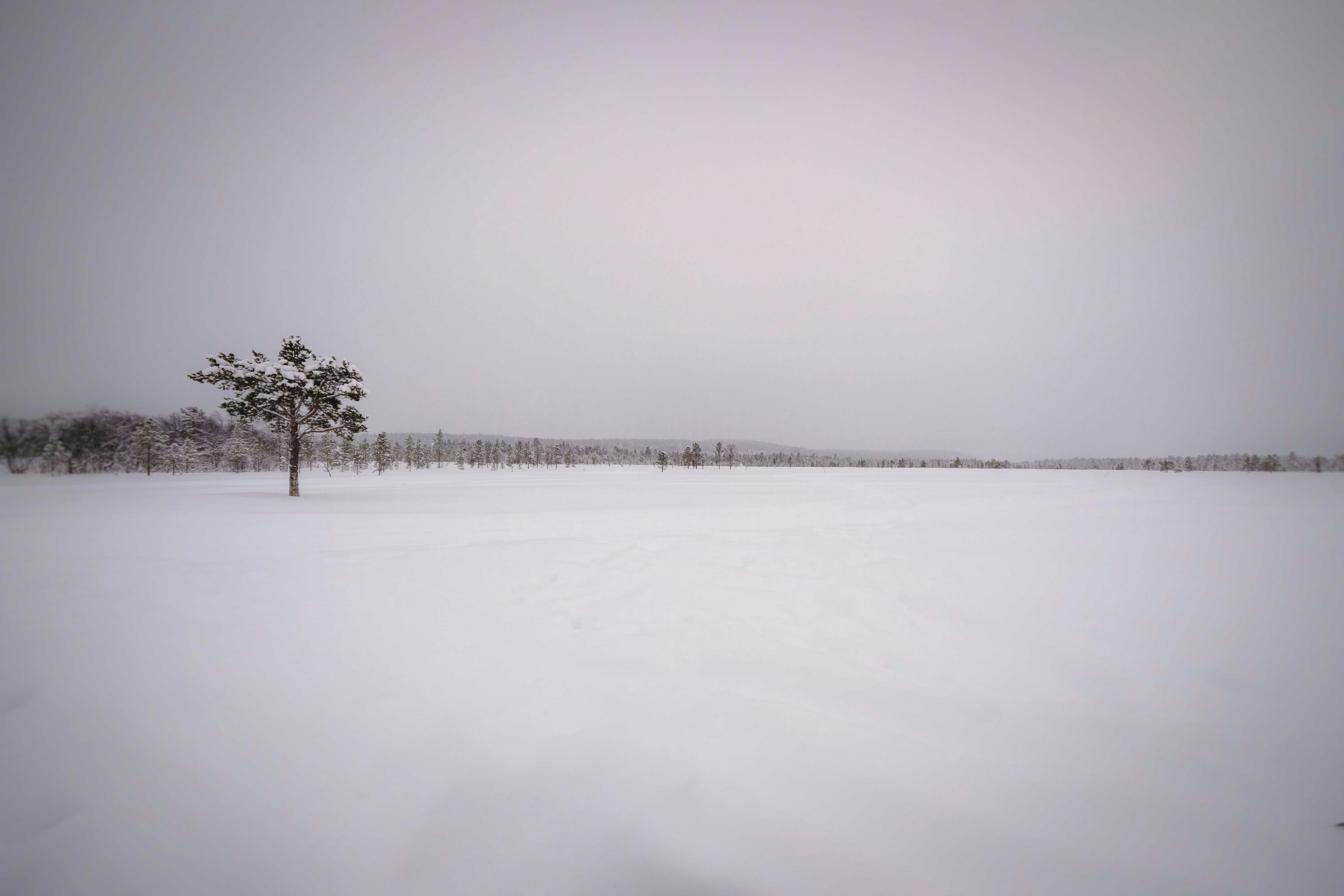 Photo by francesco_ungaro