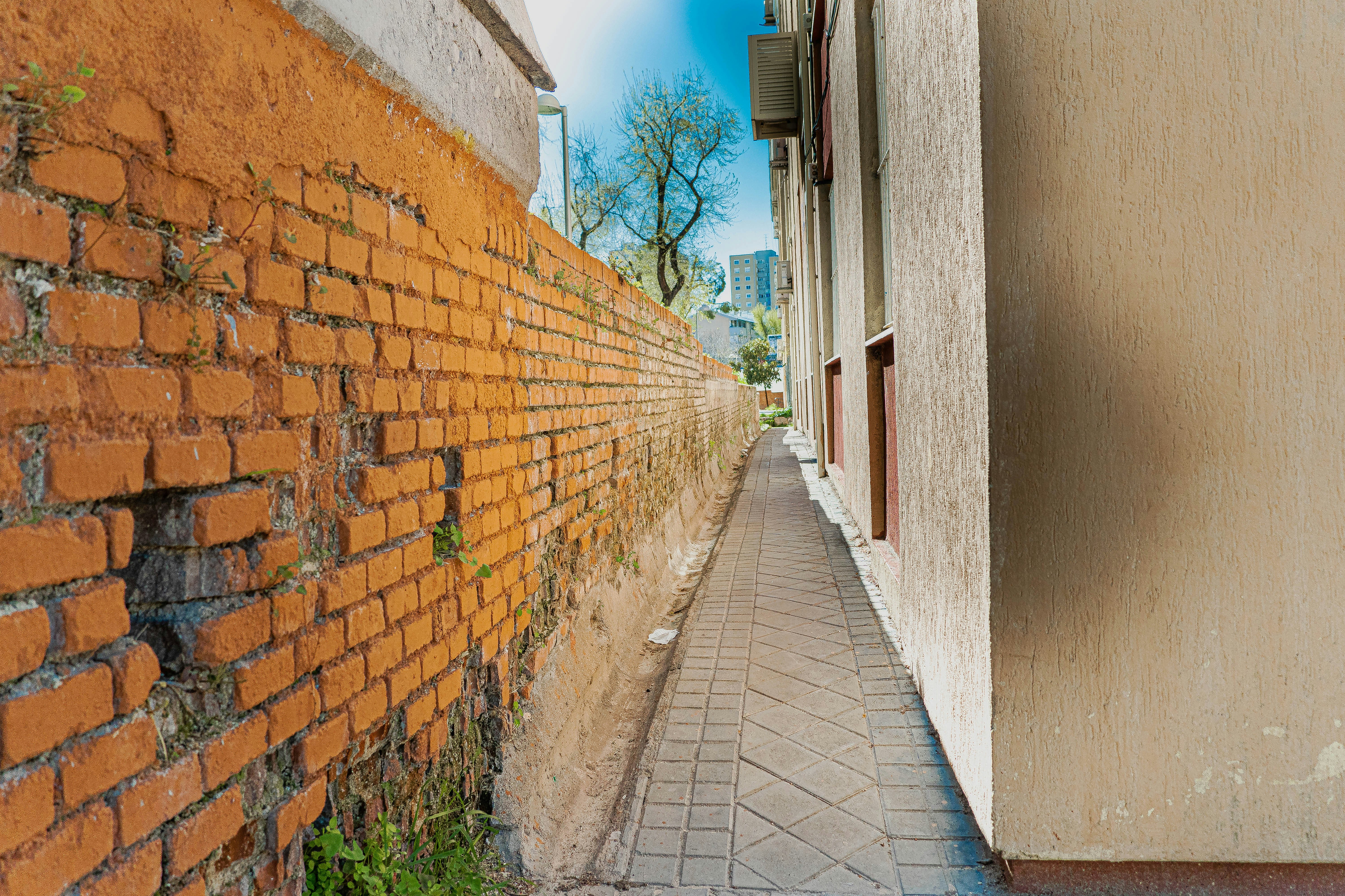 Photo by joseantoniogall