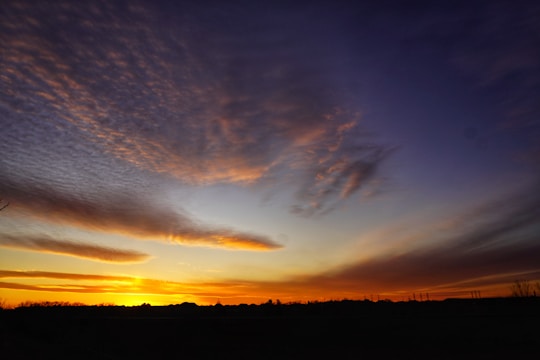 Close-up of a vibrant sunset landscape with rich, glowing colors.