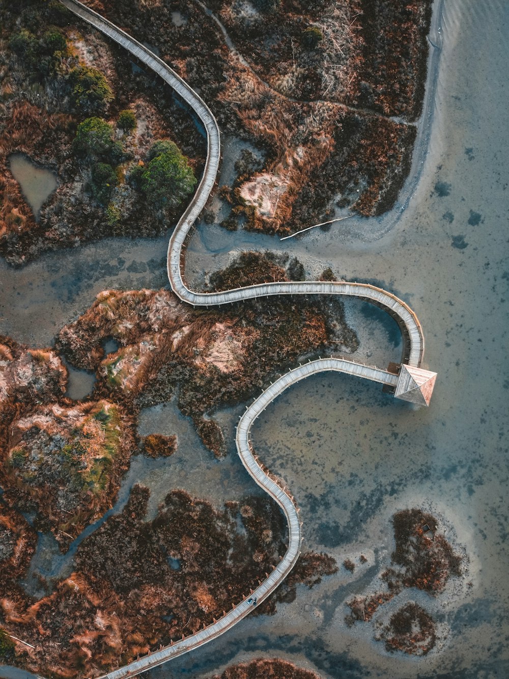 aerial view of road in the middle of the forest