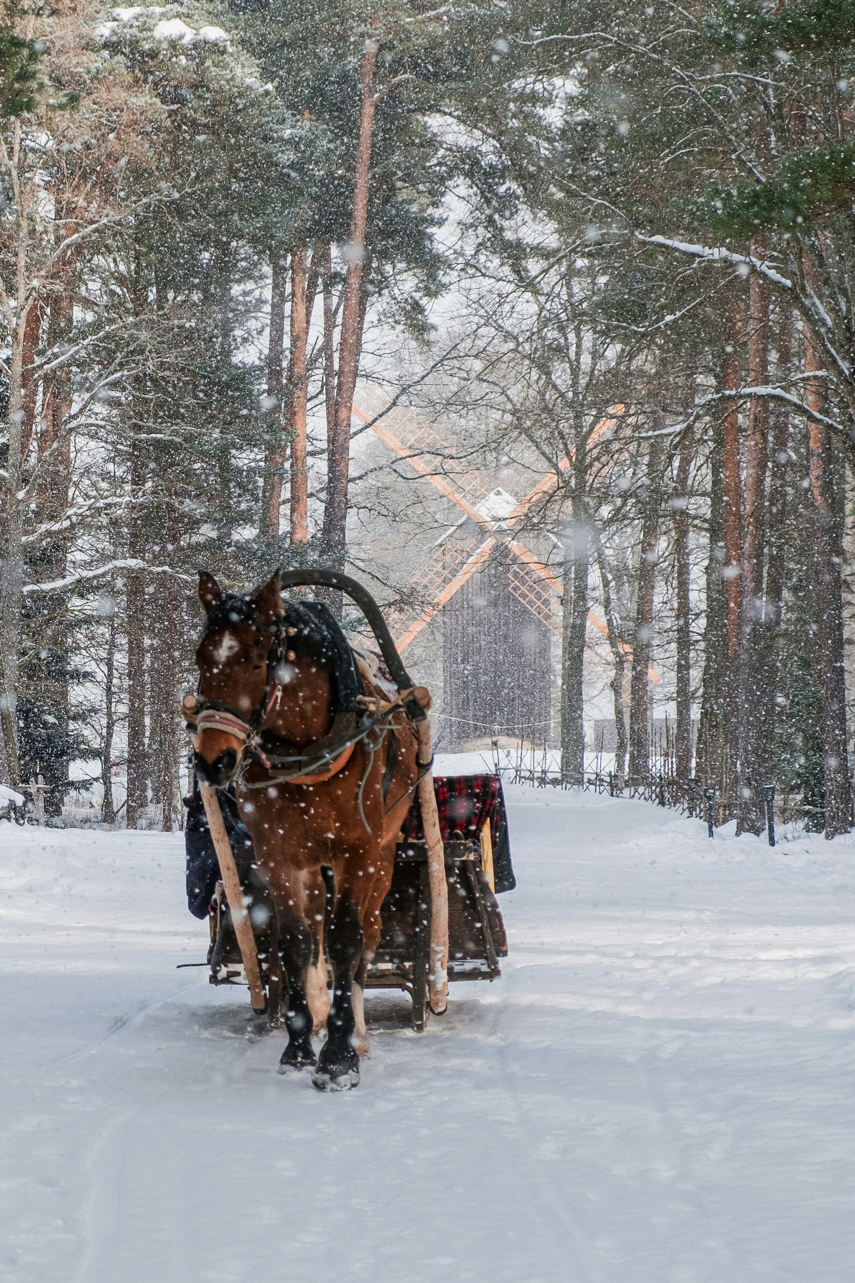 Getting Around Narva: Local Transportation