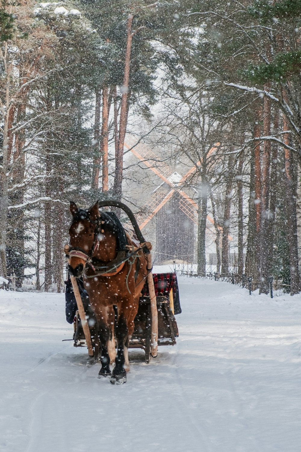 brown horse on snow covered ground during daytime