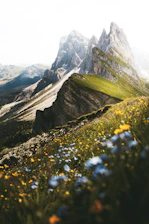 A lively trail winding through wildflowers with Lake Reschen shimmering in the background.