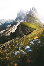 green grass and gray rocky mountain during daytime