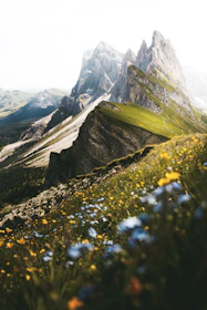 A lively trail winding through wildflowers with Lake Reschen shimmering in the background.