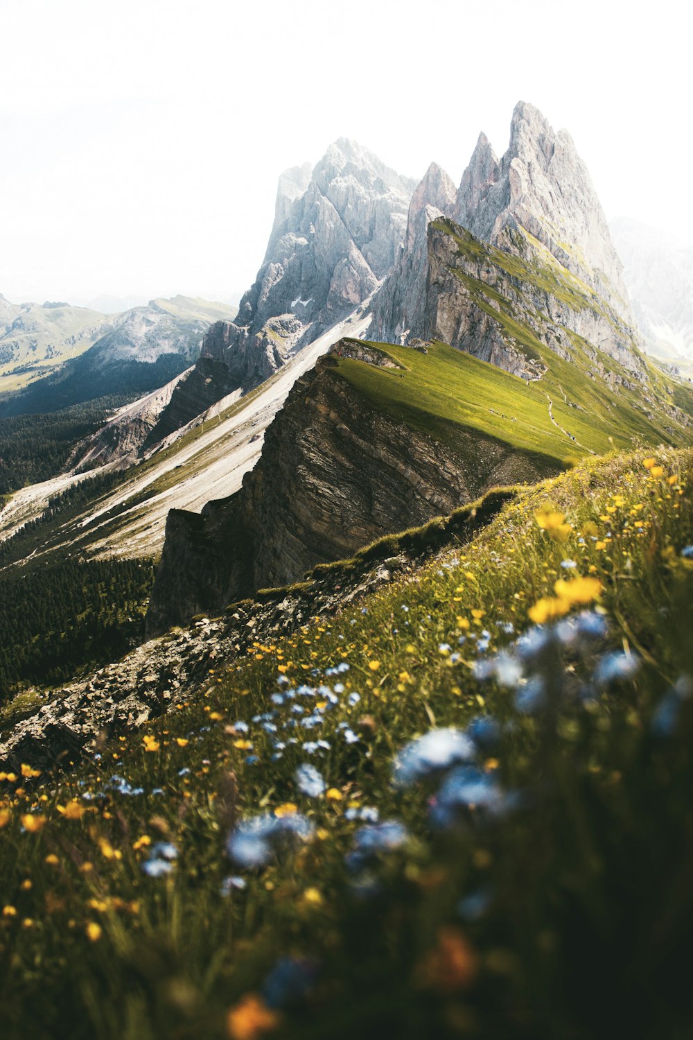 erba verde e montagna rocciosa grigia durante il giorno