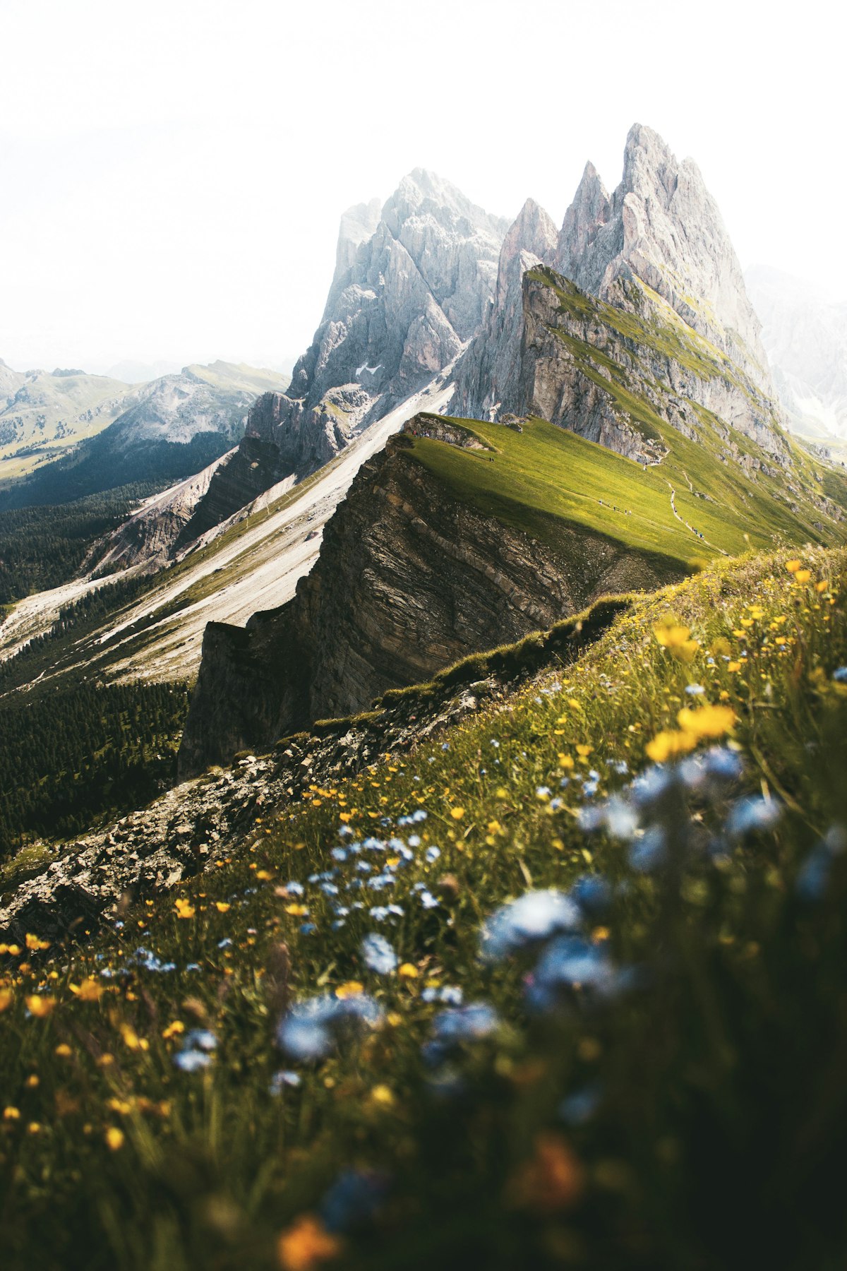 Yosemite panorama