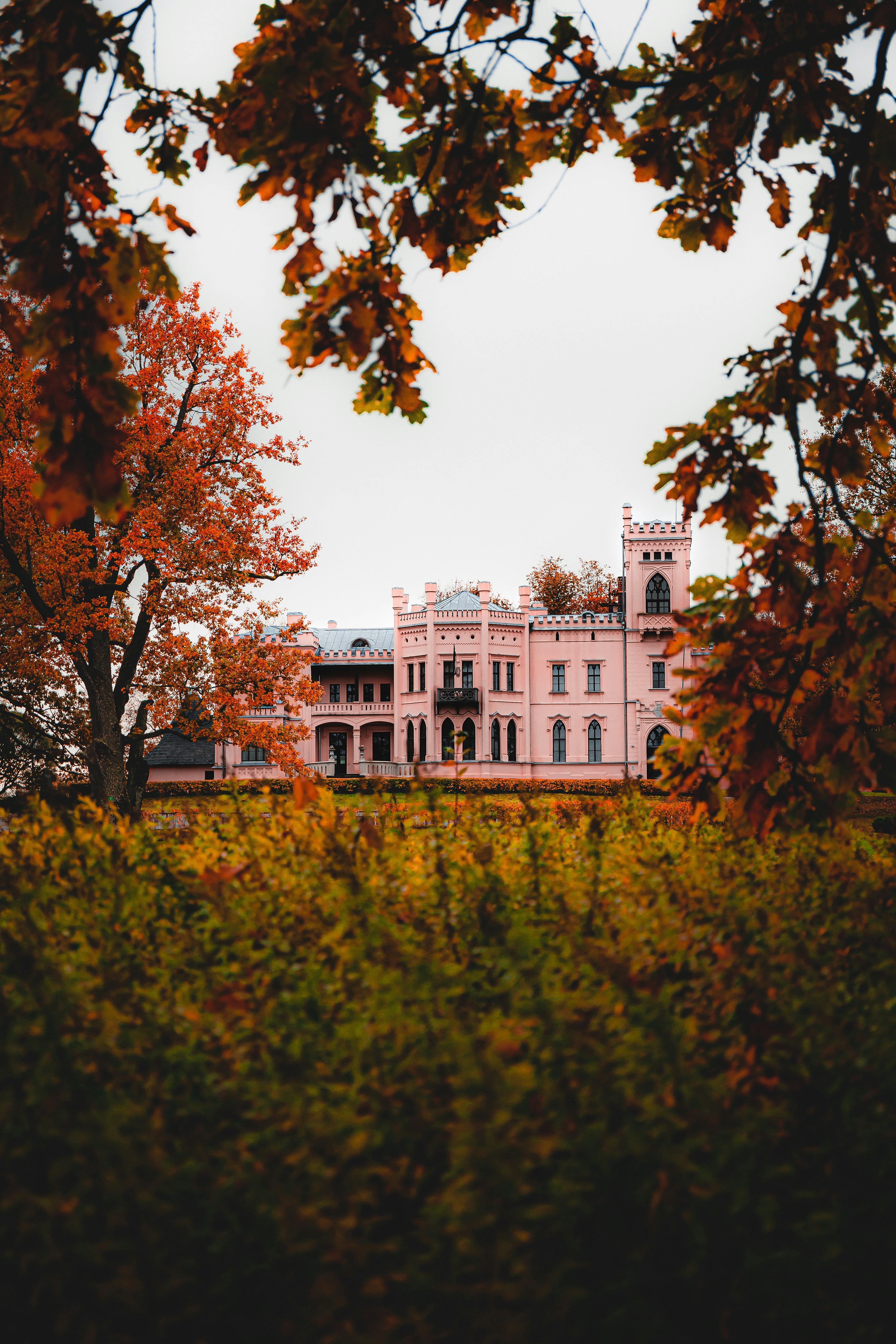 Photo by danielakokina