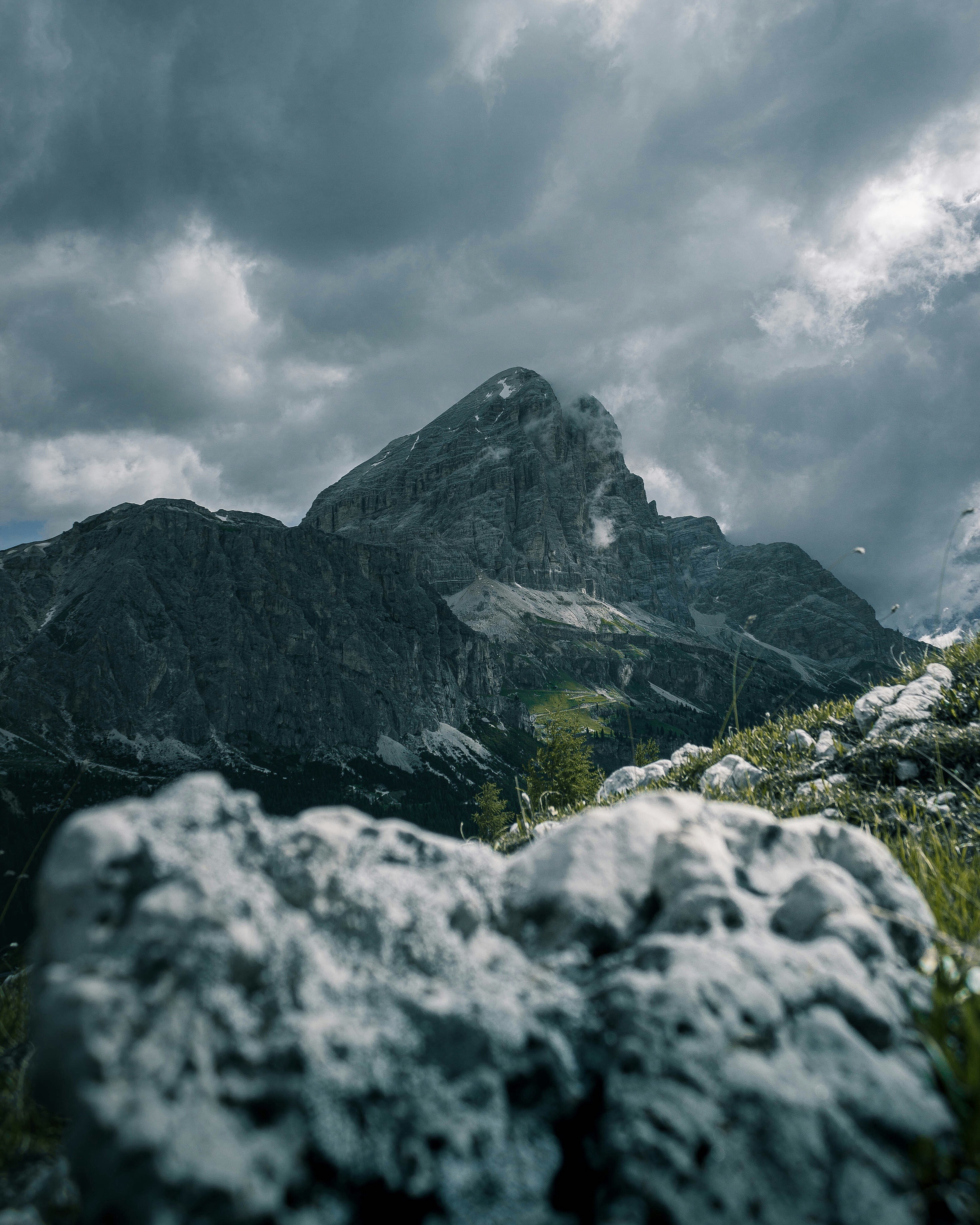 Photo by danielakokina