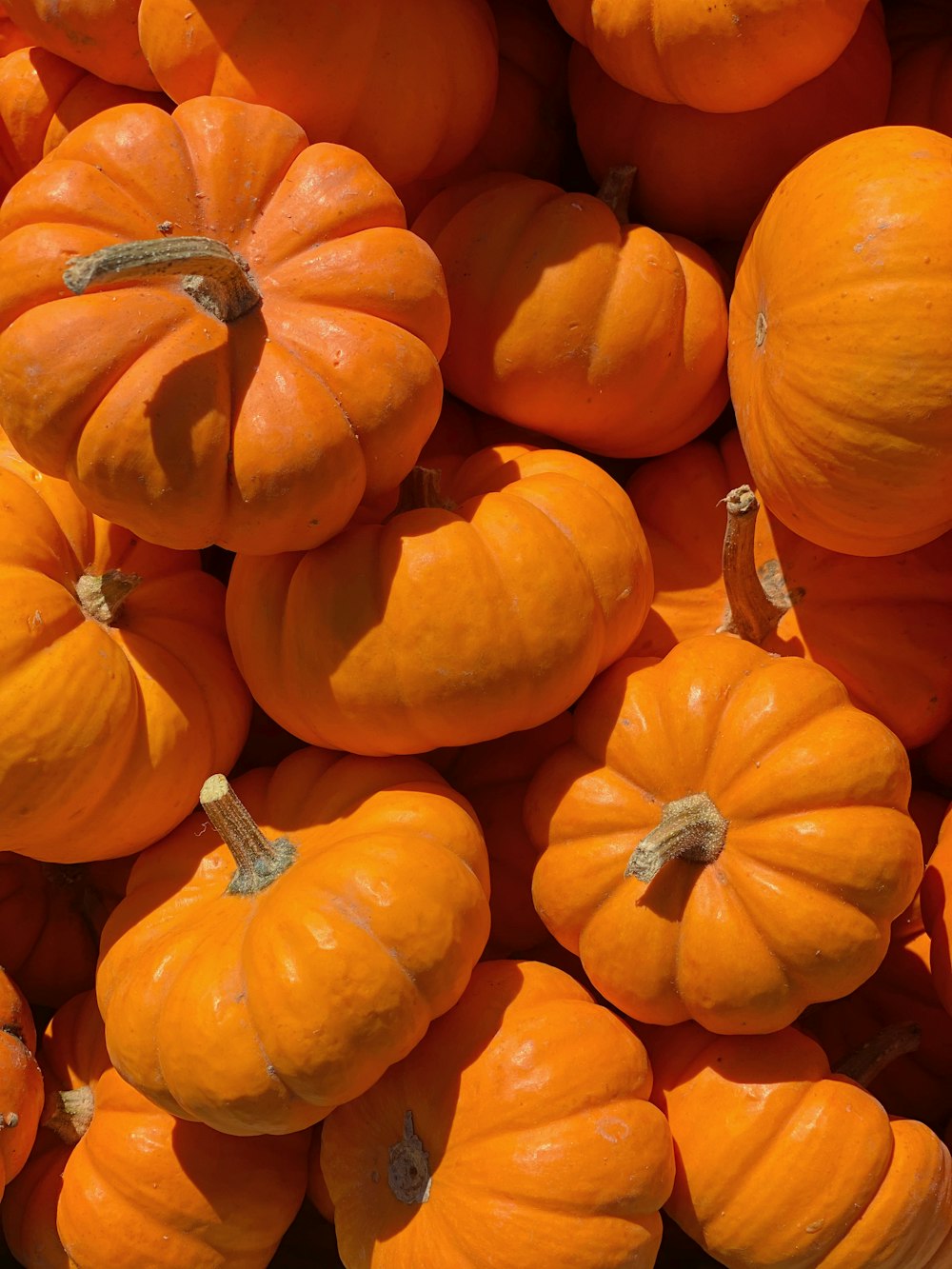 orange pumpkins on brown wooden table