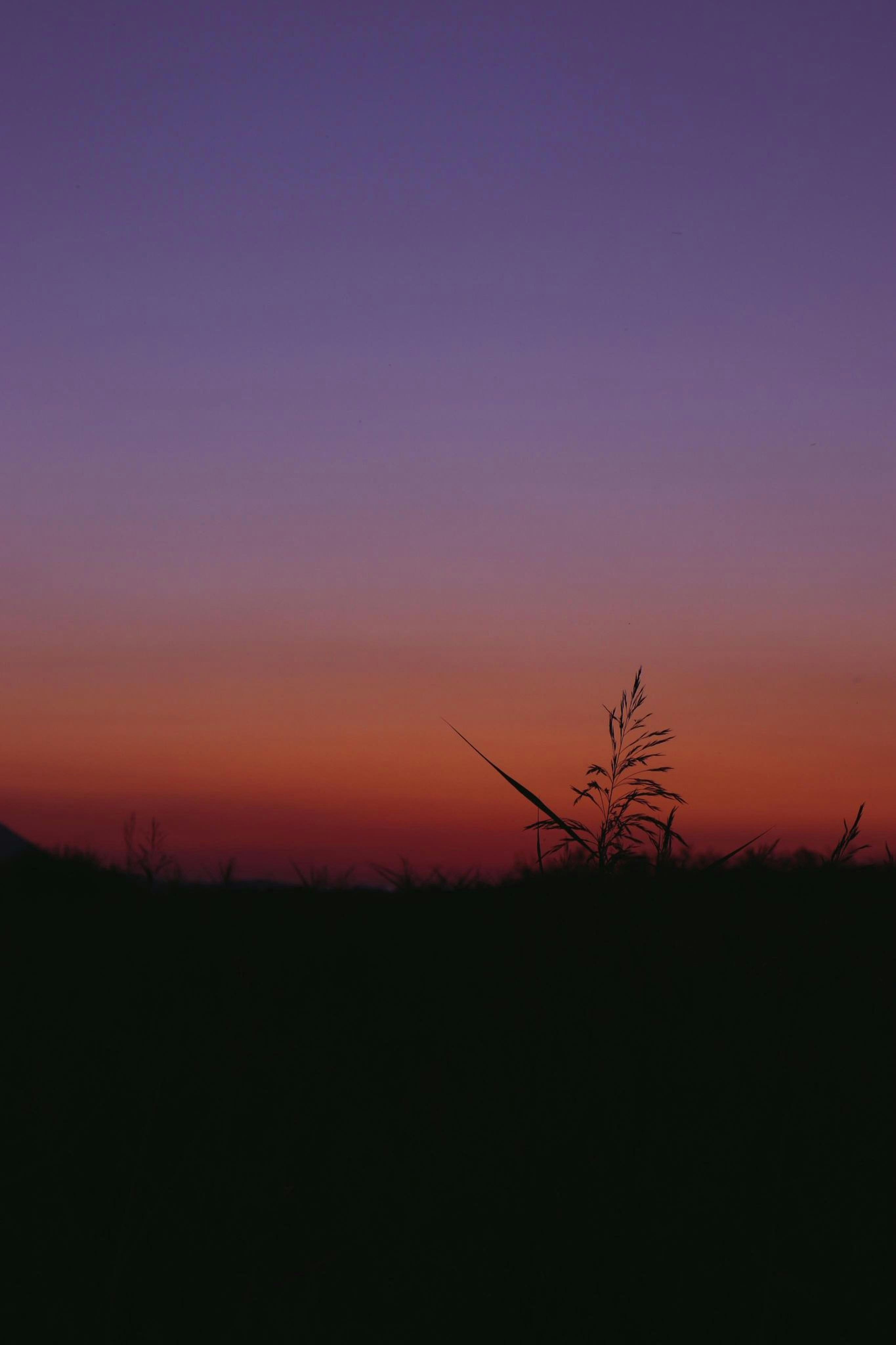 Photo by crinaparasca