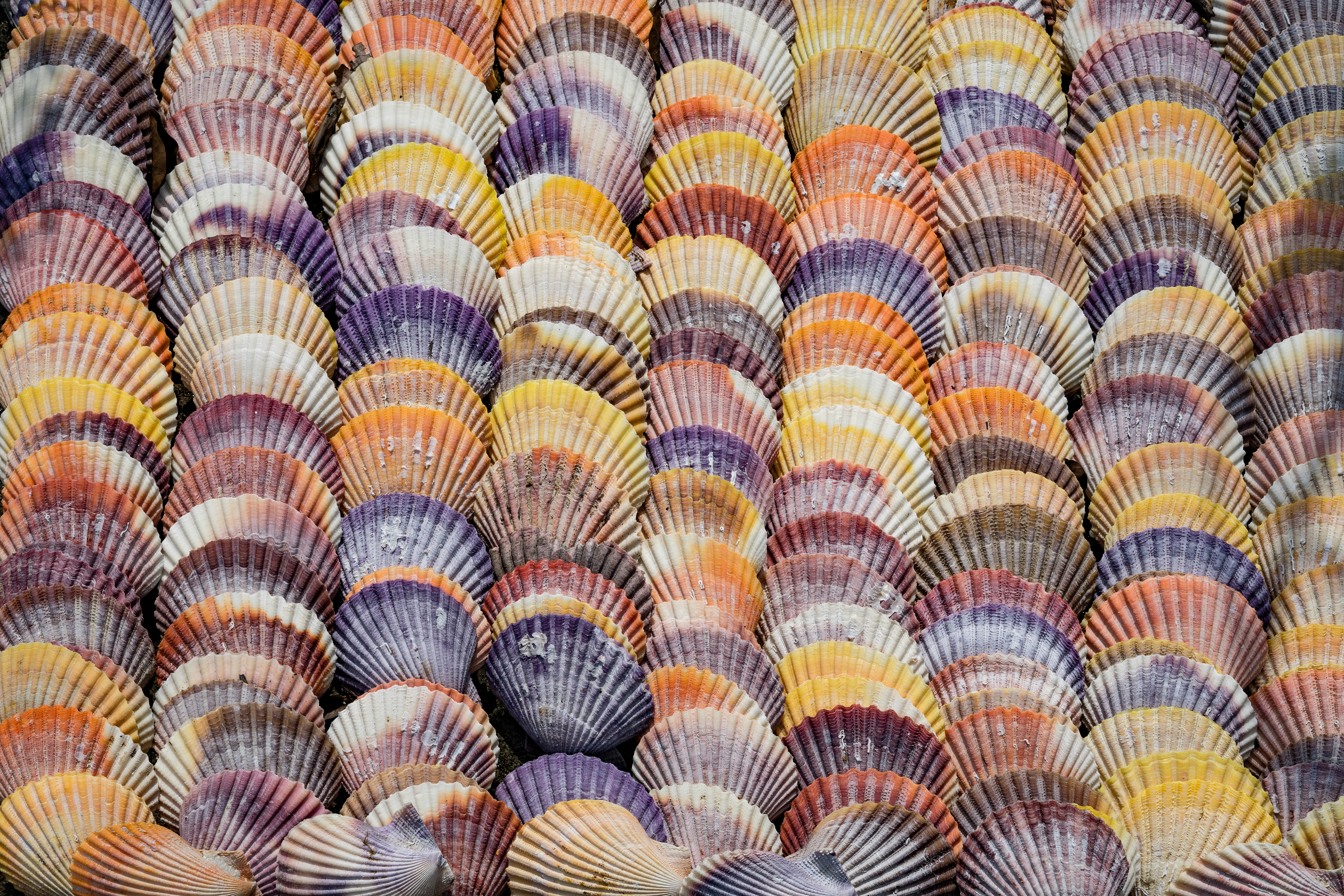 F マリノス ユニフォーム