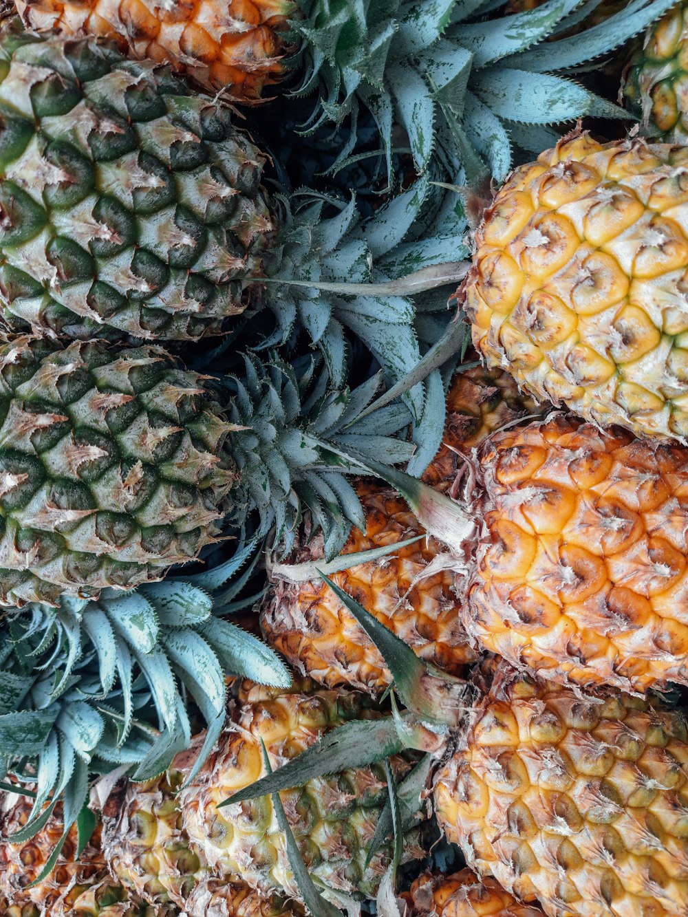 yellow and green pineapple fruits