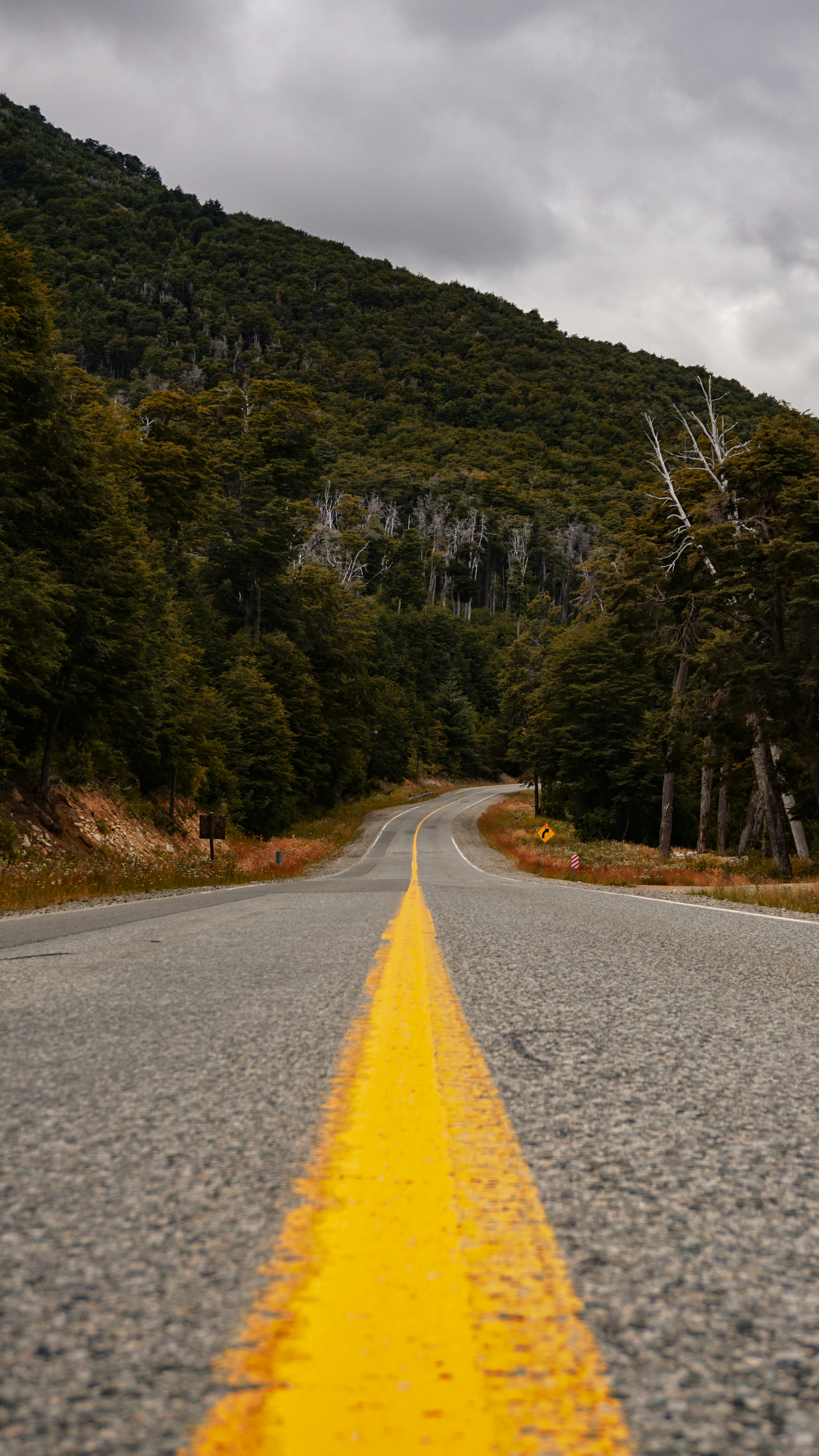 Photo by federicofaccipieri