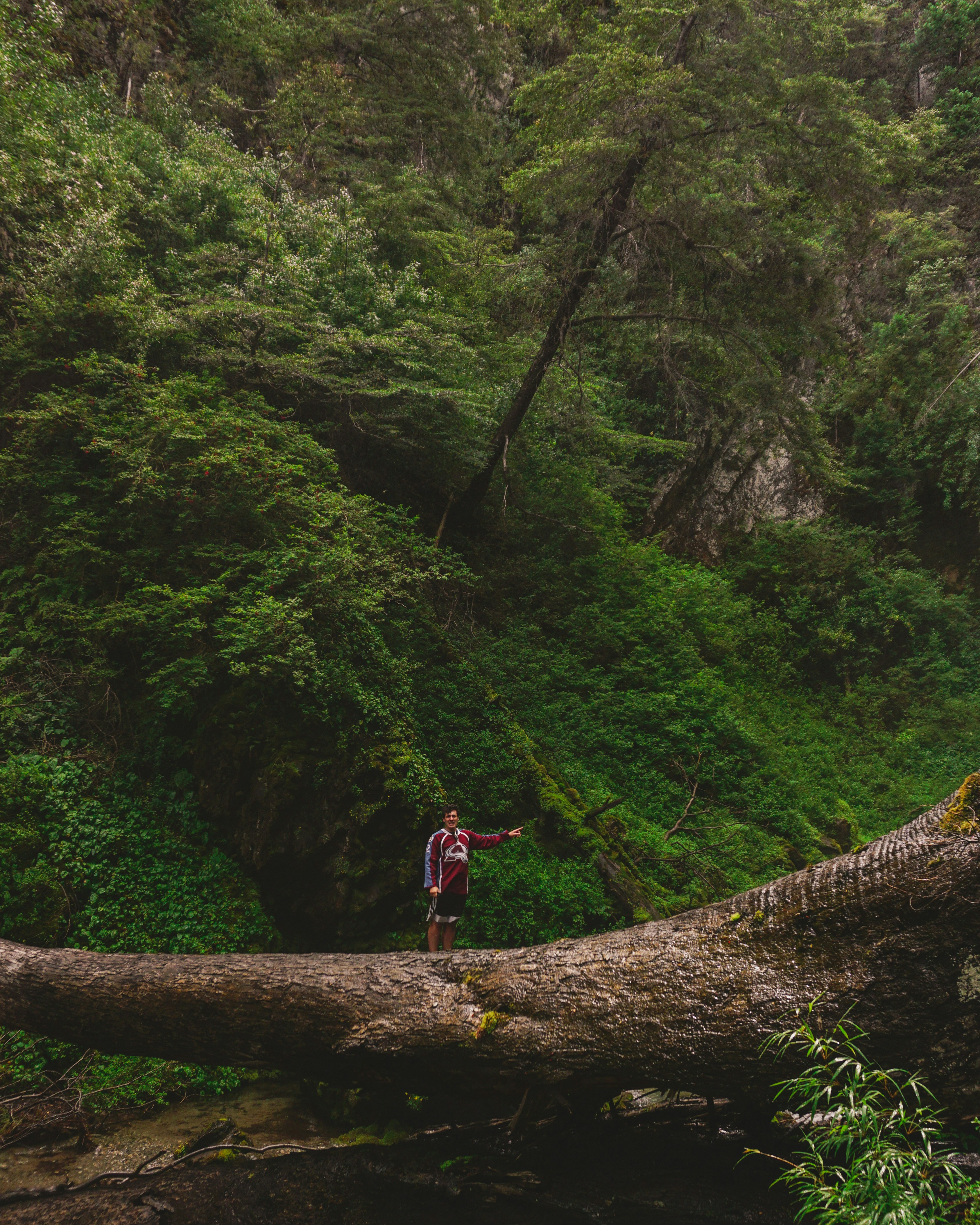 Photo by federicofaccipieri