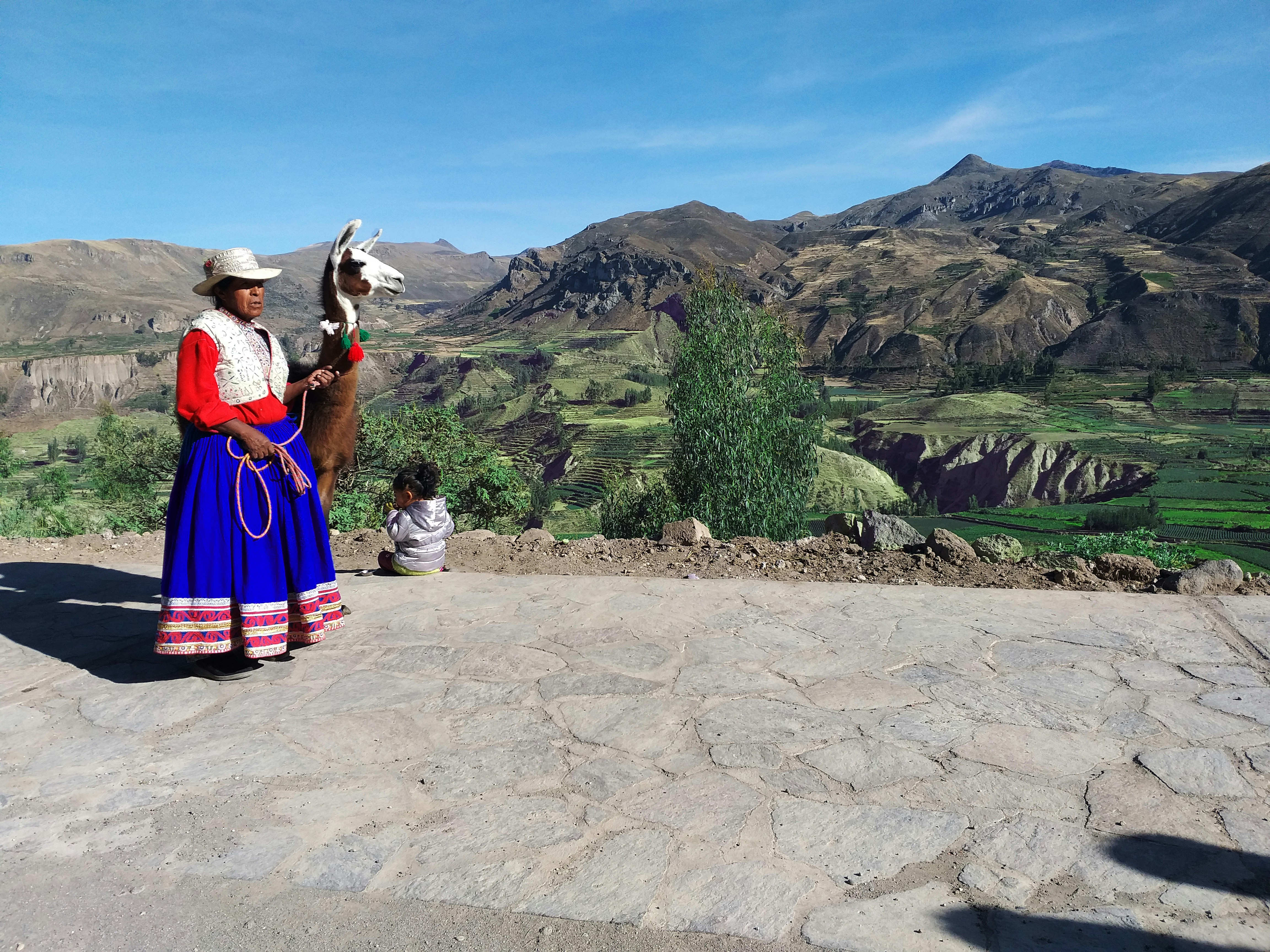 Your Complete Travel Guide to Pallay Punchu