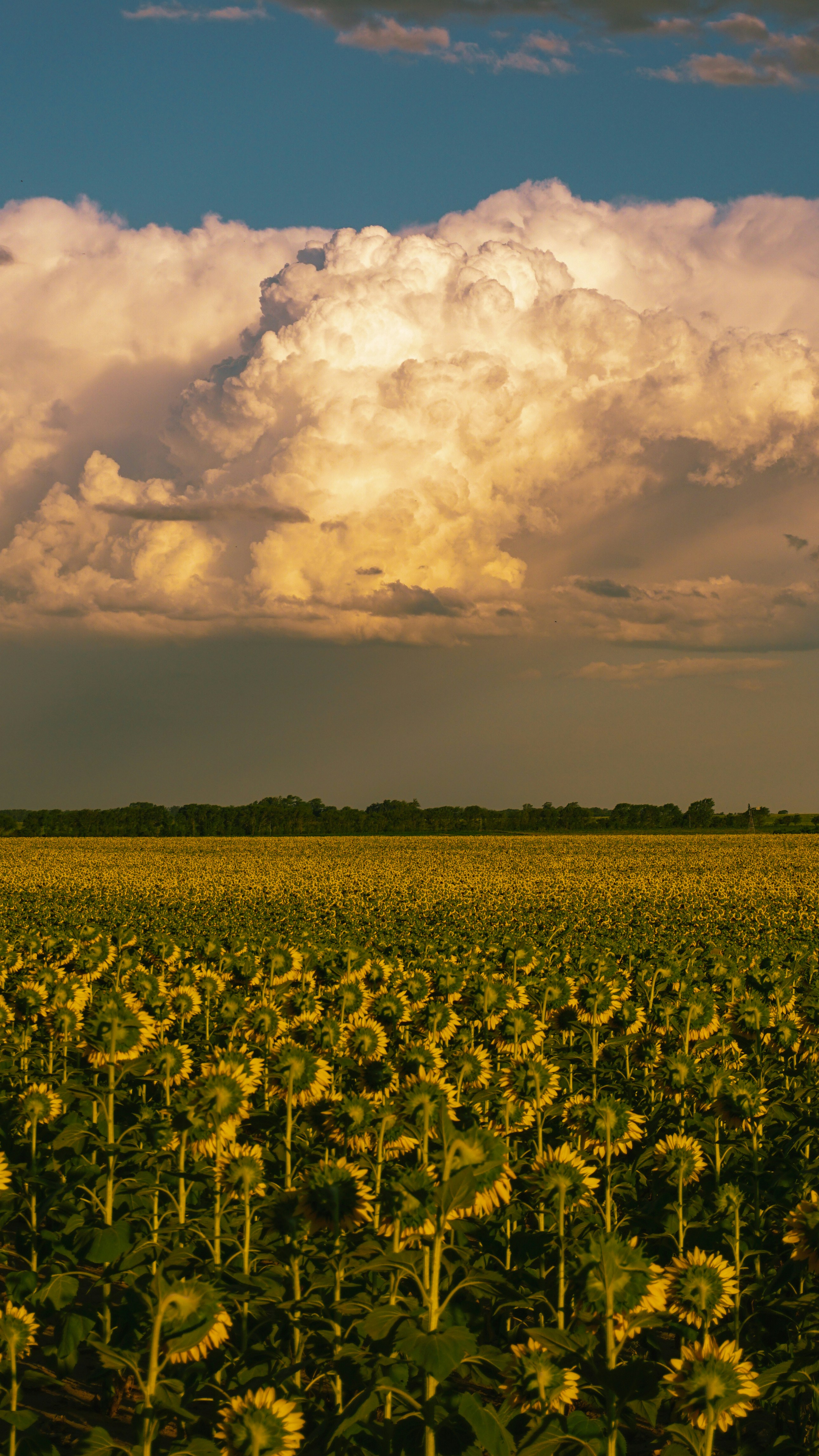 Photo by federicofaccipieri