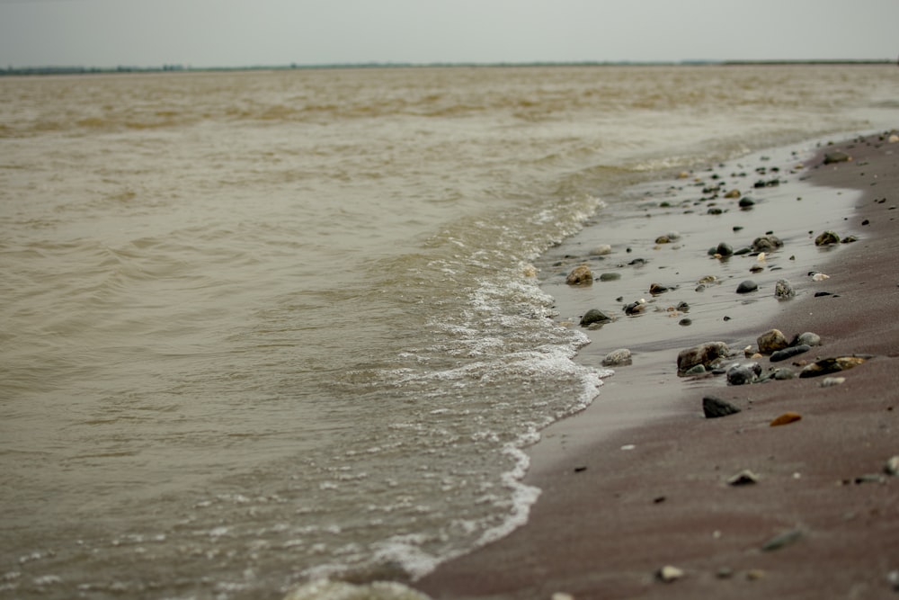 people on beach during daytime