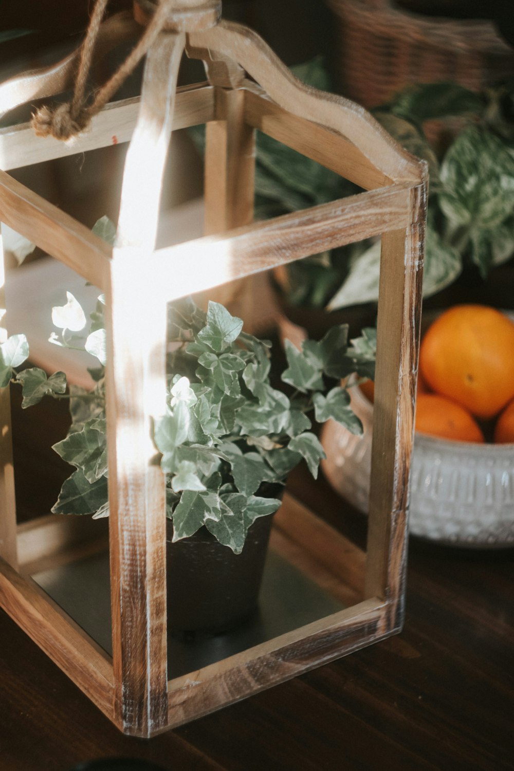 Fruit orange sur cadre en bois brun