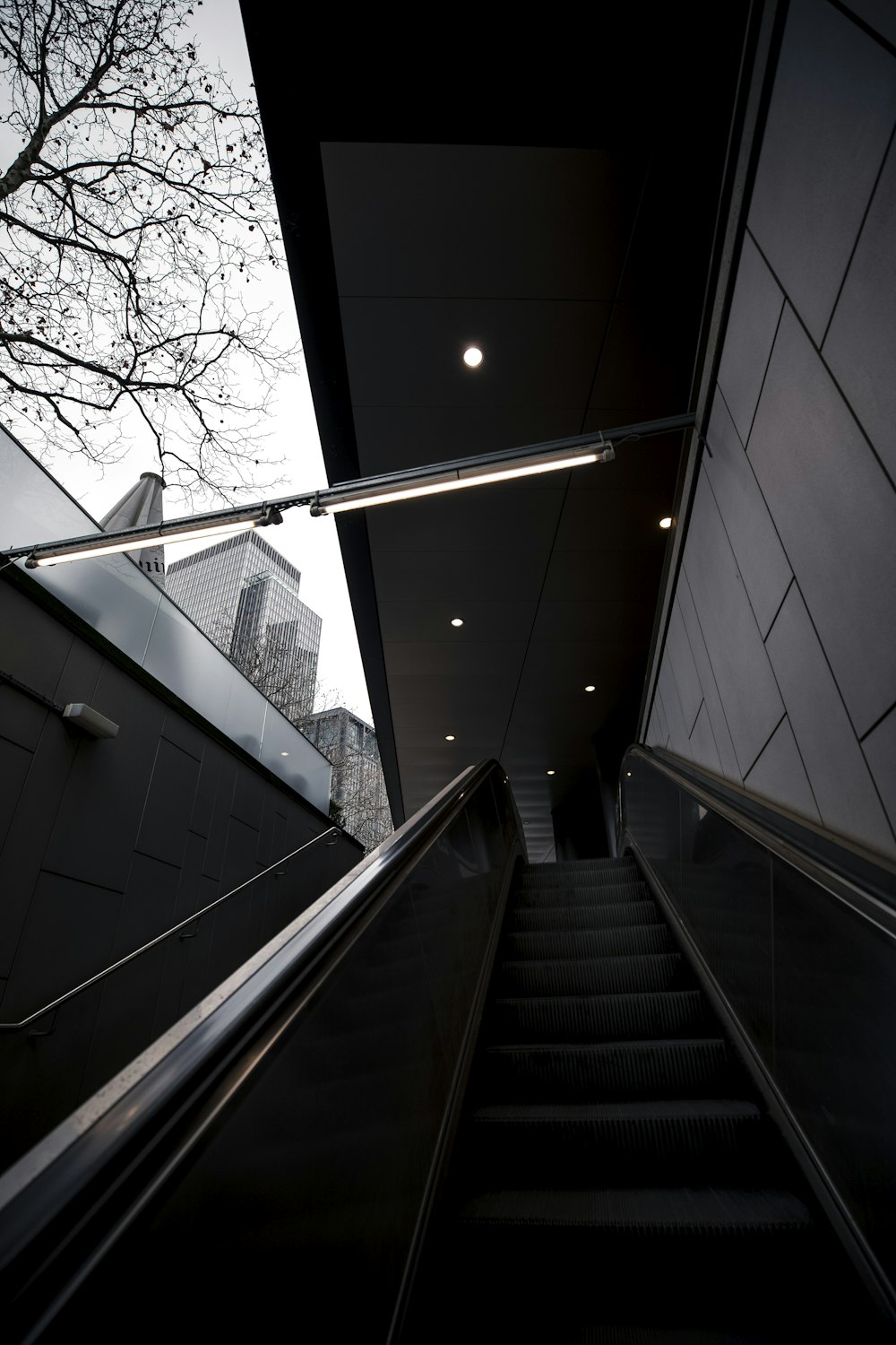 black and white staircase with stainless steel railings