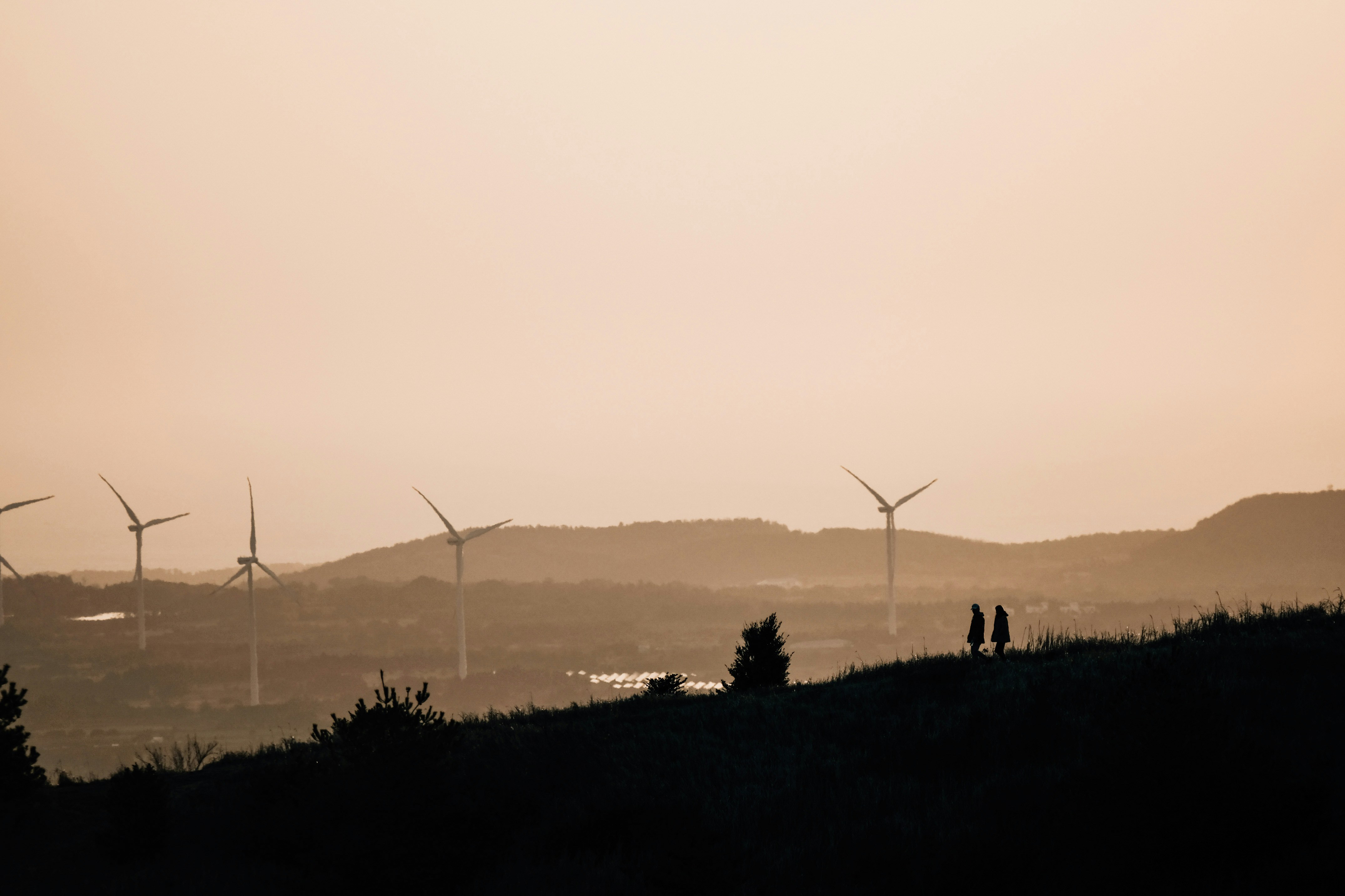 Photo by insungpandora