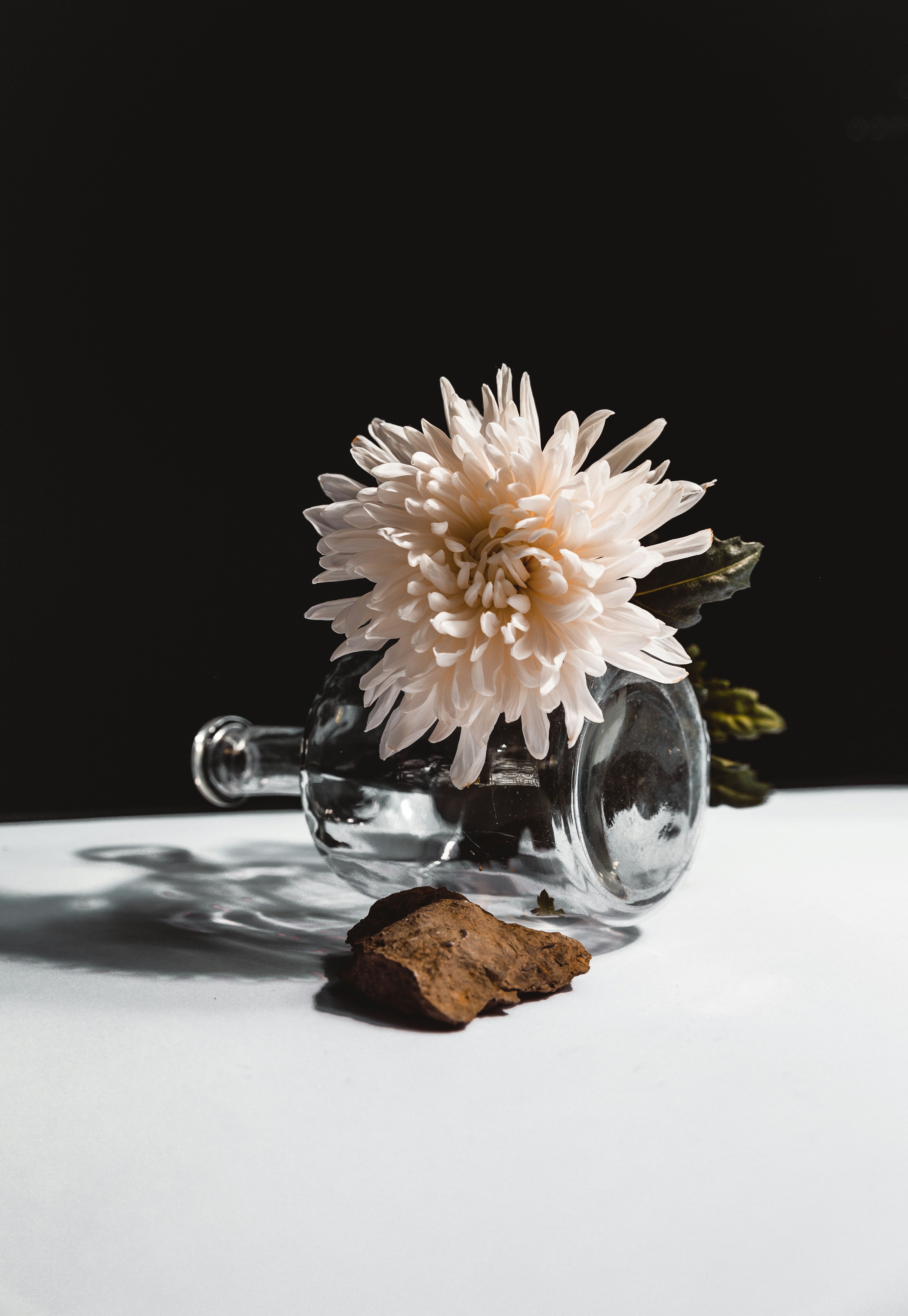 Beautiful preserved flower arrangement from EVERBEFLORAL - flowers that last forever
