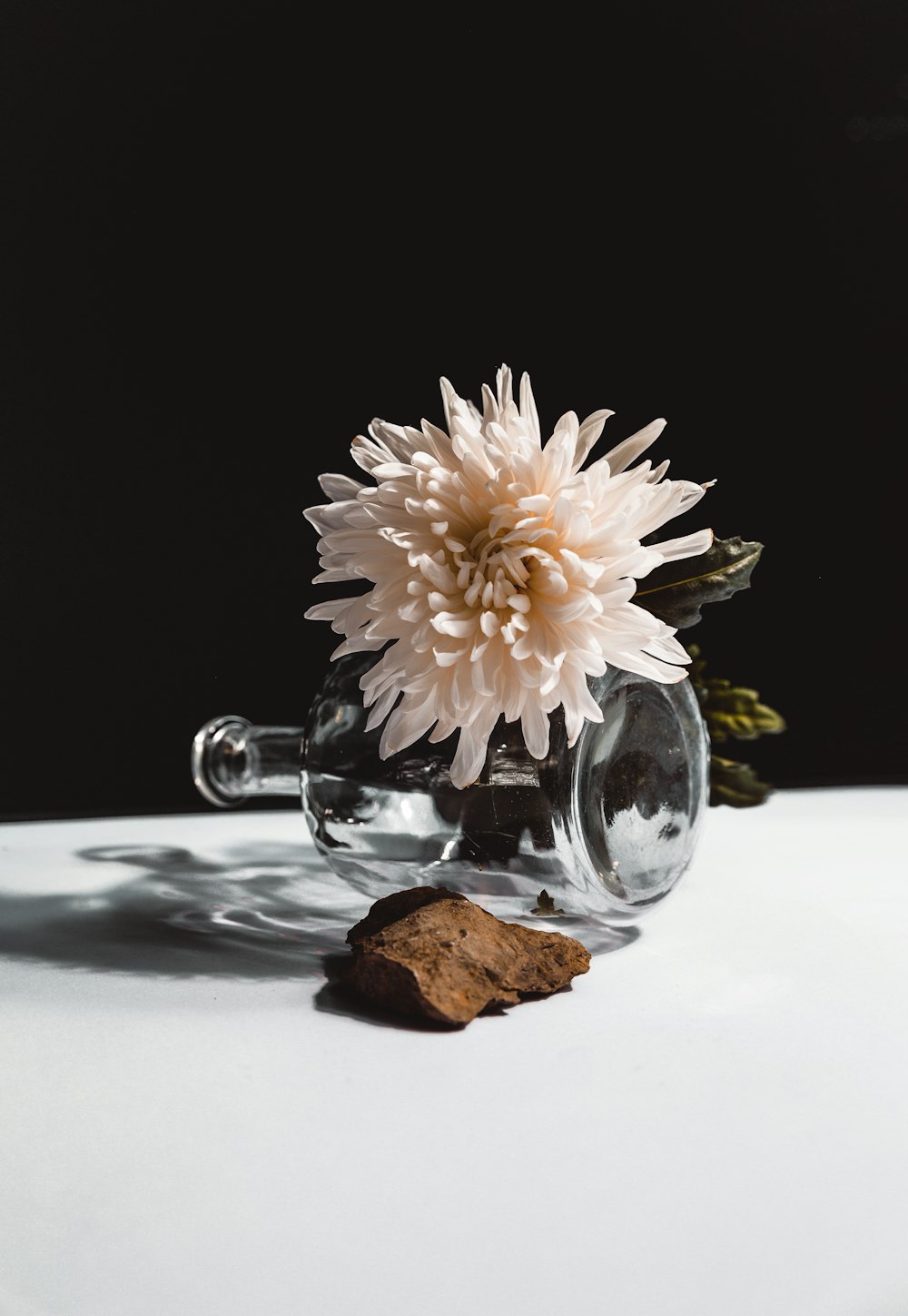 white flower in clear glass vase