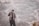 man in black coat standing on gray sand during daytime
