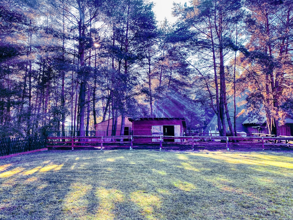 red wooden house in the middle of forest during daytime