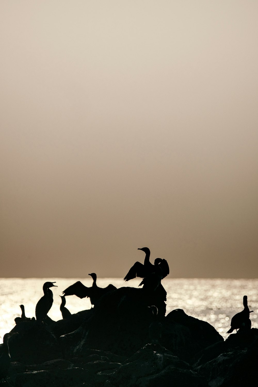 silhouette of people on beach during sunset