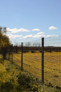 grey metal fence near green grass field during daytime