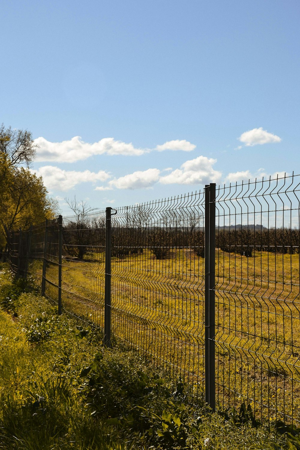 recinzione metallica grigia vicino al campo di erba verde durante il giorno