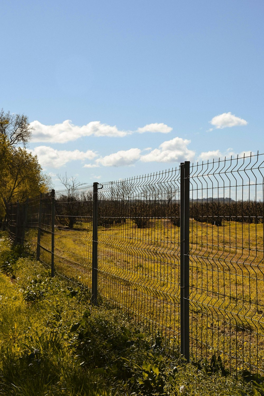 grey metal fence near green grass field during daytime