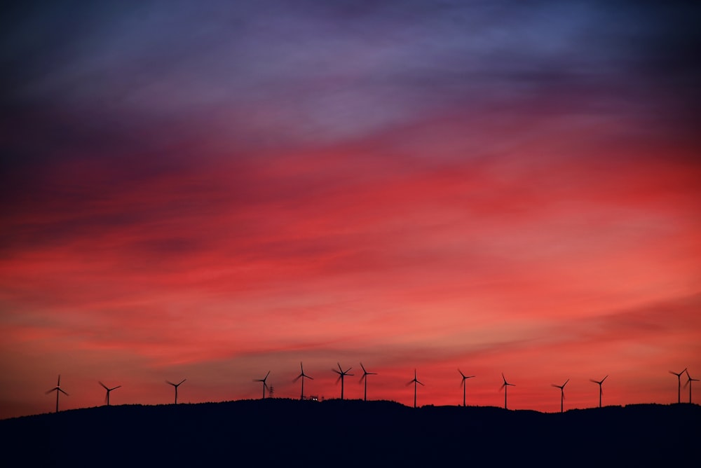 silhouette of wind turbines during sunset