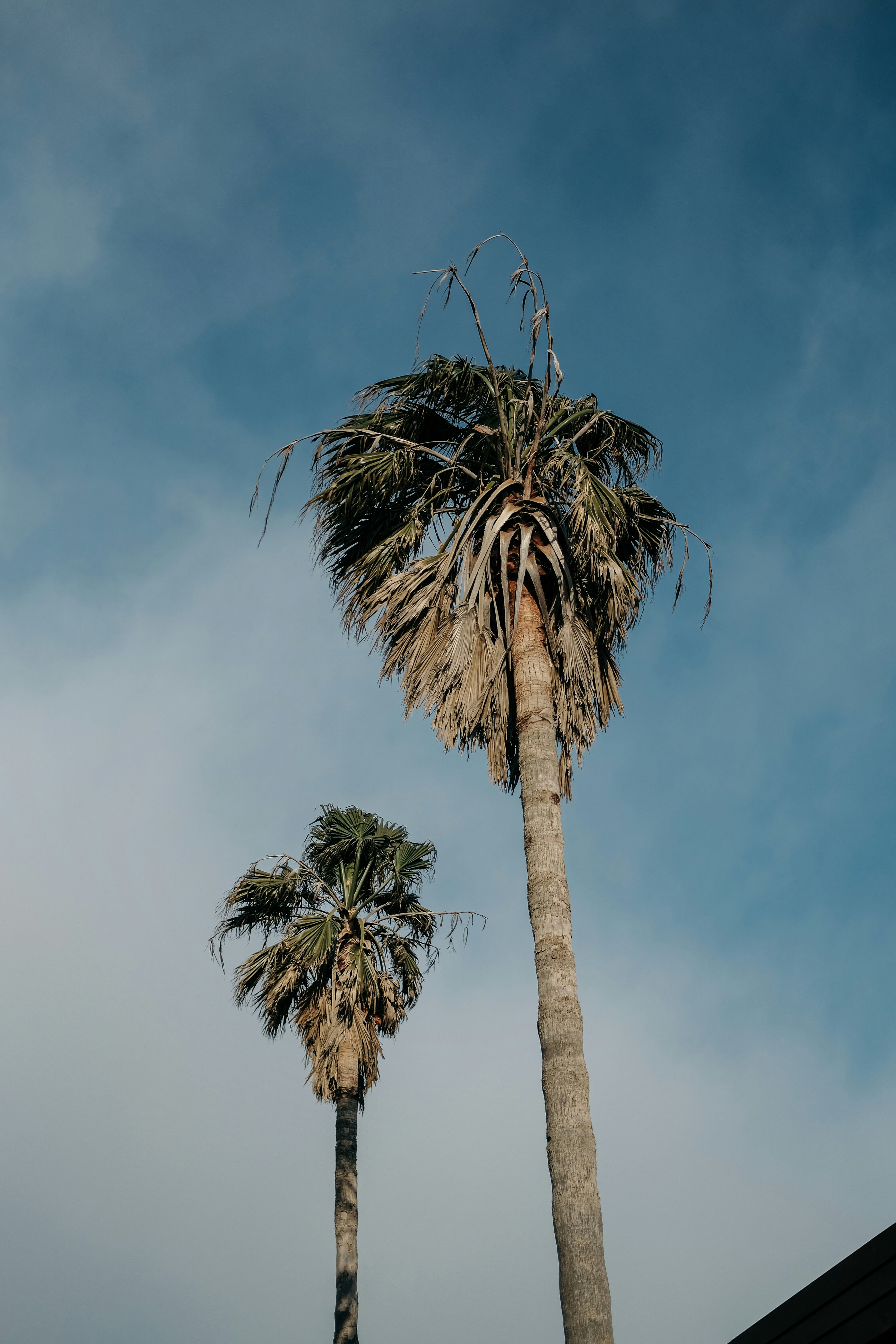 Photo by insungpandora