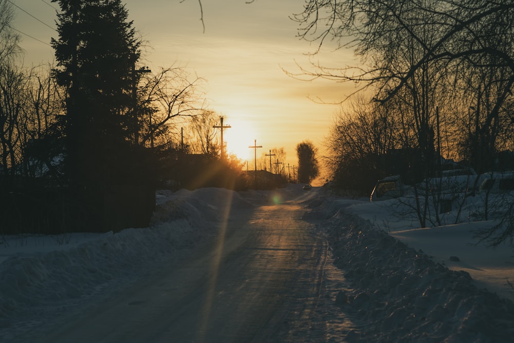 trees on snow covered ground during sunset