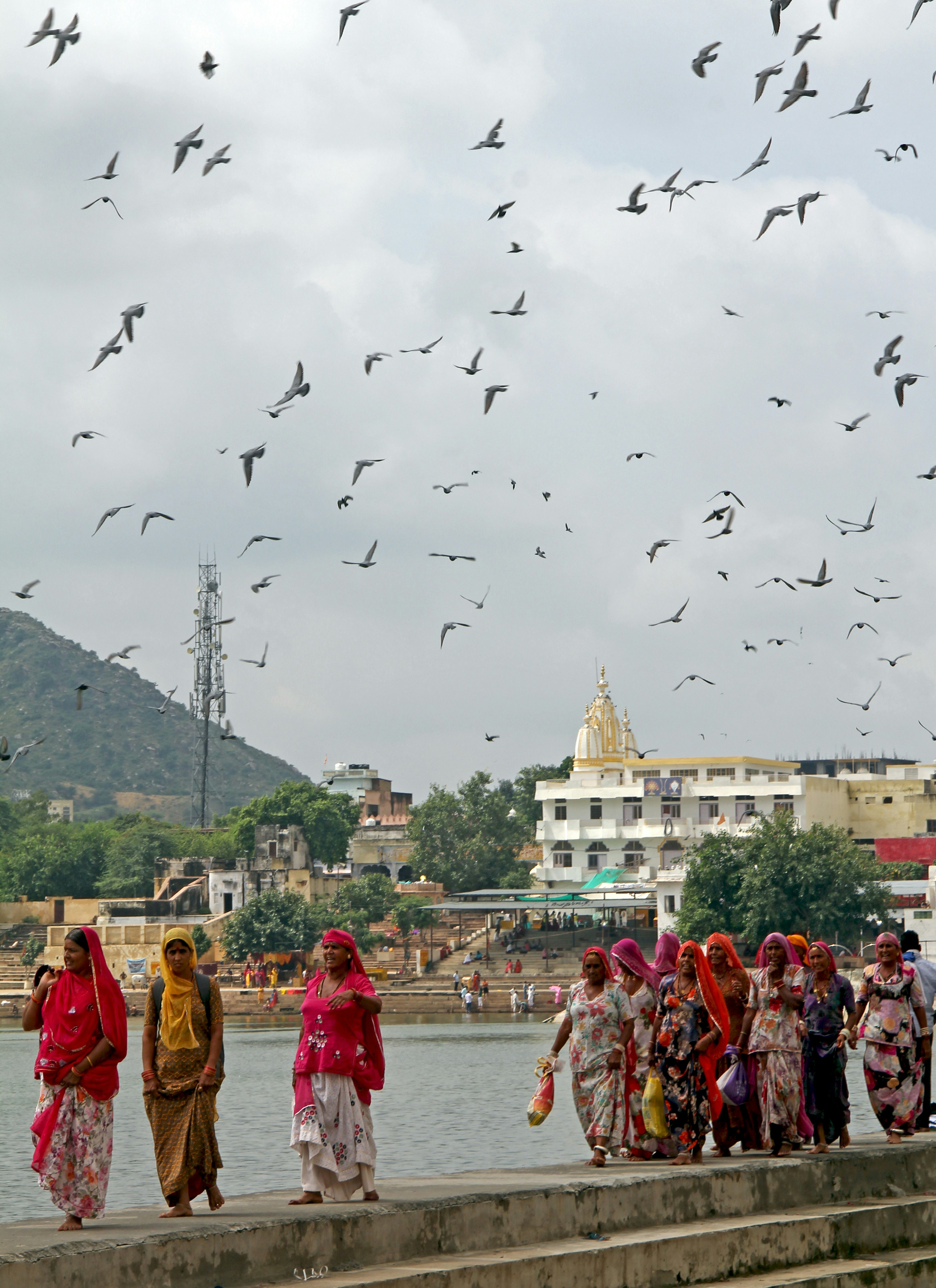 Haryana, India Pictures Download Free Images on Unsplash