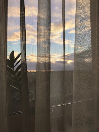 Bright, colorful sheer curtains fluttering in a sunlit window