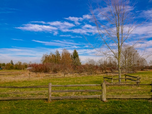 A peaceful farm landscape with green fields and a rustic wooden fence under a clear sky.