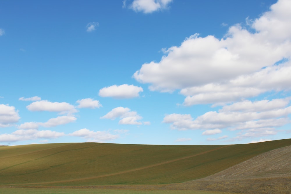 green grass field under blue sky and white clouds during daytime