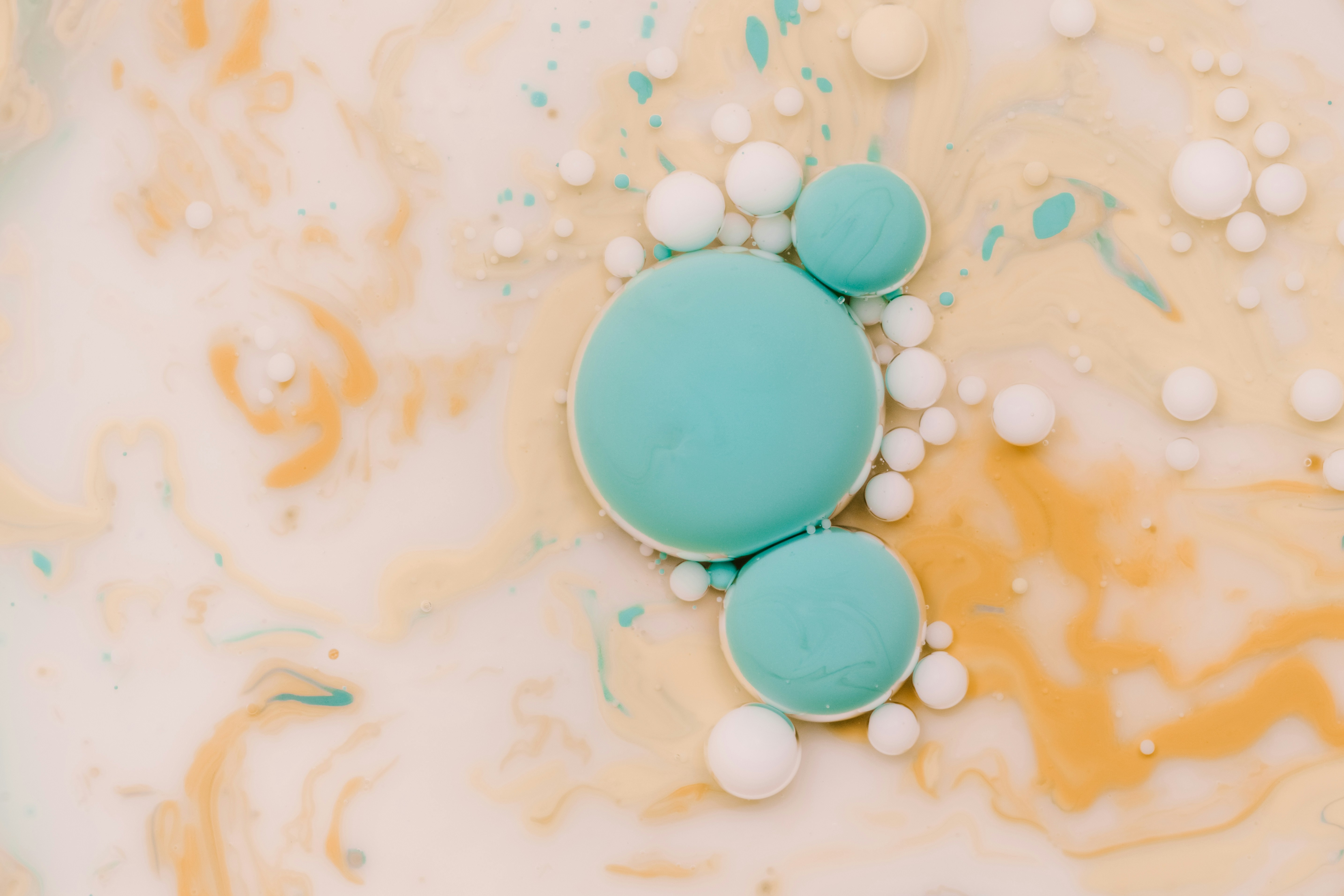 Photo by pawel_czerwinski