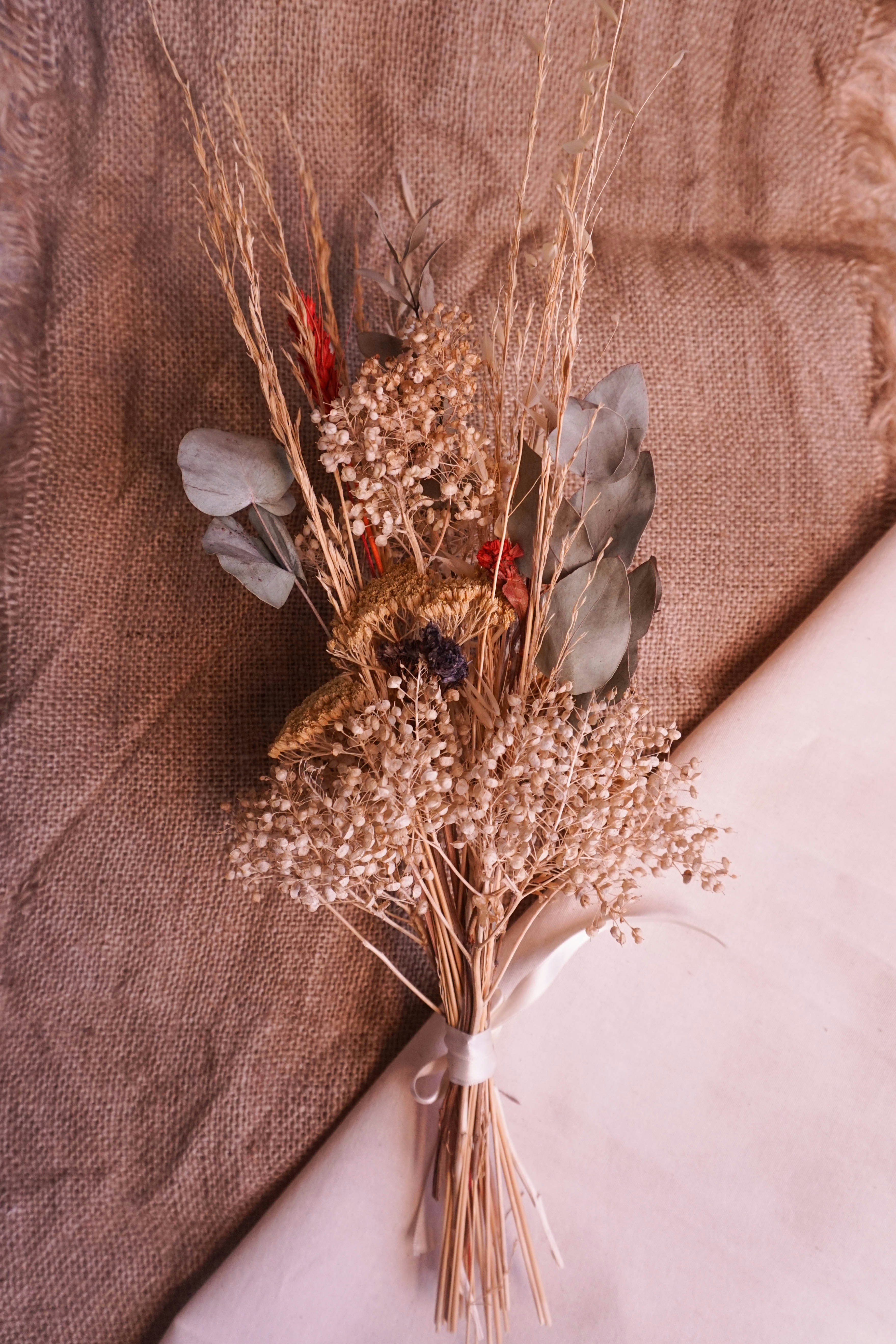 Photo by camilaespasandin