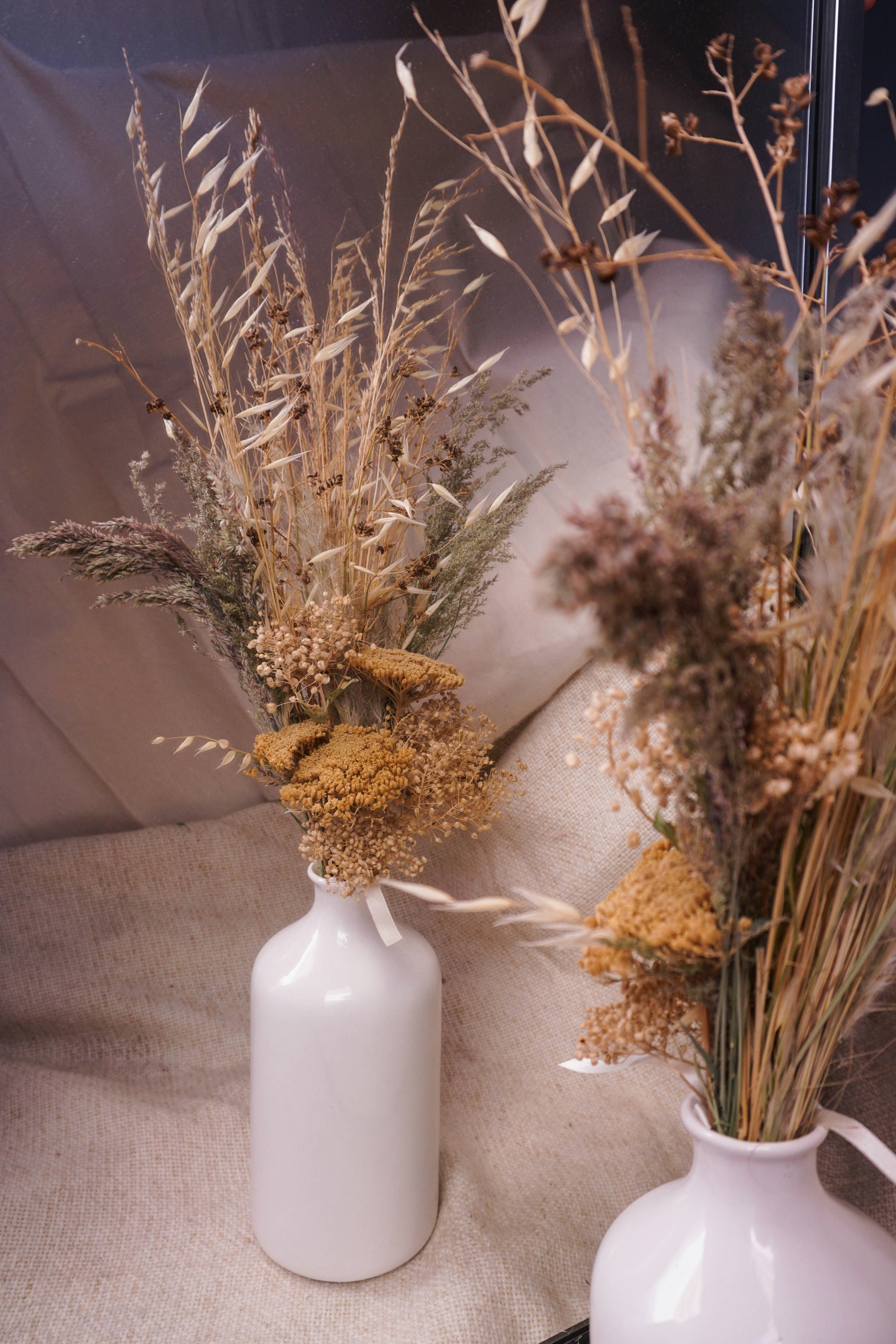 Photo by camilaespasandin